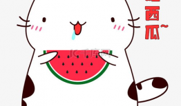 吃瓜爆料图片表情包大全可爱,吃瓜表情包大全，可爱爆表！